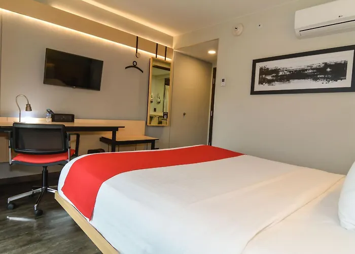 City Express Plus By Marriott Medellin Colombia